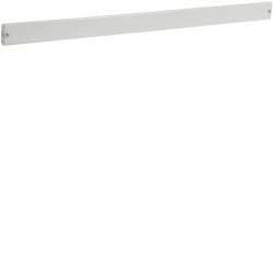 Plastron plein h 50 x l...