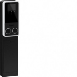 Witty Park2 Borne totem...