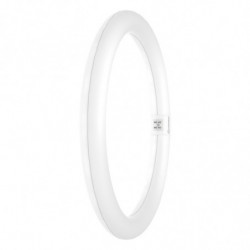 LED TUBE LEDVANCE VAL T9...