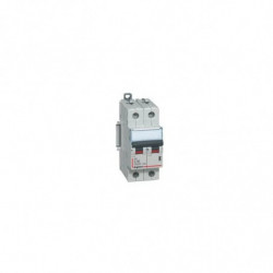 Disjoncteur bipolaire 63A...