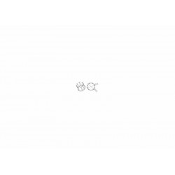 Ogive deprat 53x0,6mm volet...