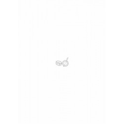 Adaptateur rond 102,5x2,5mm...