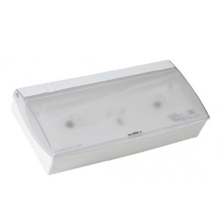 BRIO 60 STD Incandescent 55lm NP IP42 IK06