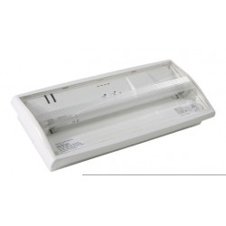 BRIO 400F STD Fluorescent 380lm NP IP42 IK07