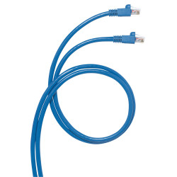Cordon RJ45-RJ45 pour boîte...