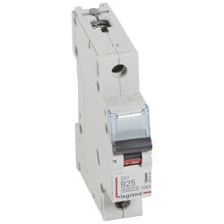 Disjoncteur DX6000 10kA...
