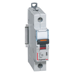 Disjoncteur DX 25 kA courbe...
