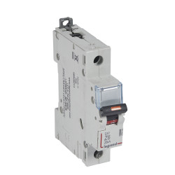 Disjoncteur DX 25 kA courbe...