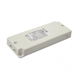 Driver 20w 24v cv  (CD130)