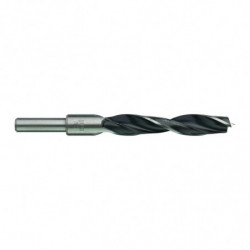 Meche 3 pointes 15x95mm...