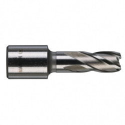 Trepan hss pour perceuse a...