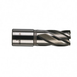 Trepan hss pour perceuse a...