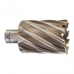 Trepan hss pour perceuse a...