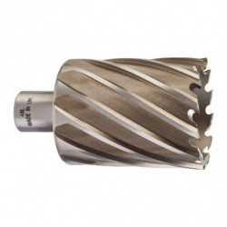 Trepan hss pour perceuse a...