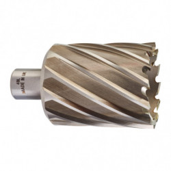 Trepan hss pour perceuse a...