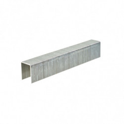 Agrafes T50/14MM-600pc...