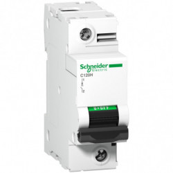 Disjoncteur C120H 1P 80 A,...