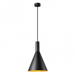 PHELIA suspension...