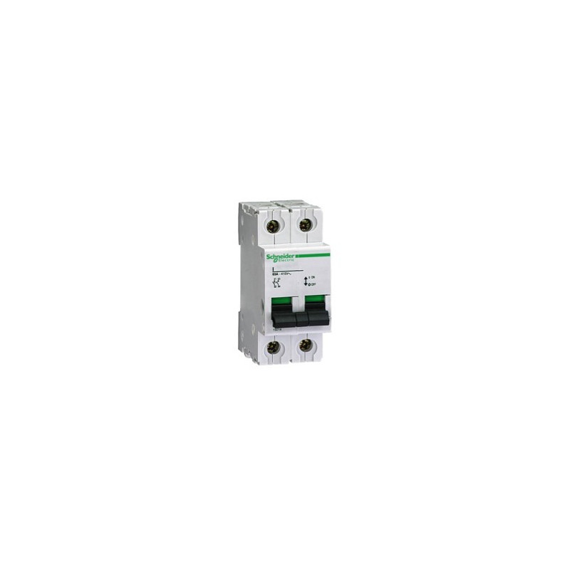 Interrupteur sectionneur I 2P 63 A