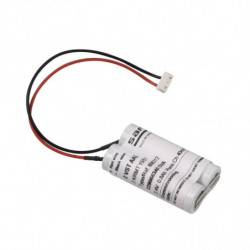 Exiway ESI - batterie de...