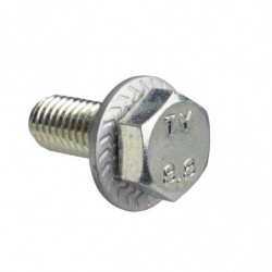 V1S TH 8X20 +RONDEL PLATE...