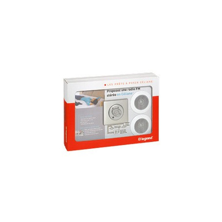 Kit diffusion sonore avec HP spot - titane Kit diffusion sonore avec HP spot - titane