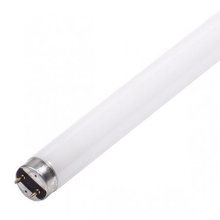 Tube 14W/830 T5 Blanc Confort Tube 14W/830 T5 Blanc Confort