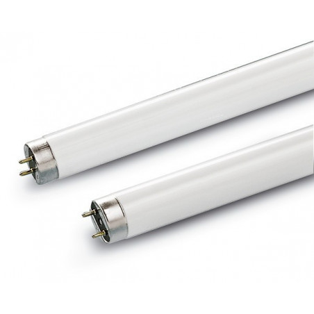 Tube 24W/840 T5 Blanc Brillant