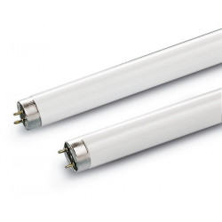 Forever Speed 20 Mètres LED Tube Lumière lumineux, LED Tubes